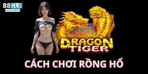 Cách Chơi Rồng Hổ Đơn Giản, Dễ Hiểu Nhất Cho Tân Thủ Mới